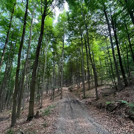 Ortwin 아파트 올스버그