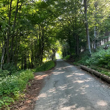 Ortwin * 올스버그